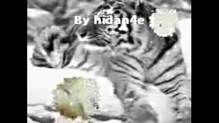 Живoтни 
