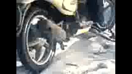 tonkata varti s motora