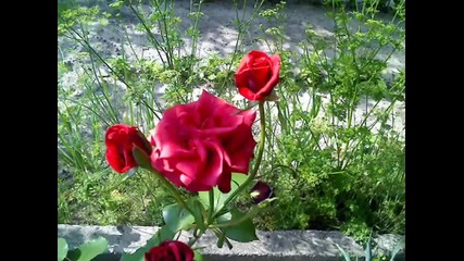 Oczarowanie Muzyka Relaksacyjna