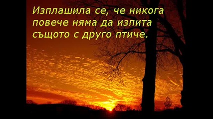История за едно птиче