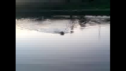 Видео020