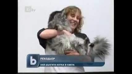Най Дългата Котка В Света Е 125 см ! 