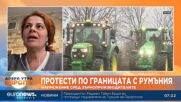 Зърнопроизводители: Мит е, че сме най-субсидирани. Вносът от Украйна убива сектора