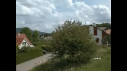 Диана Експрес Наследство (две праскови и две череши)