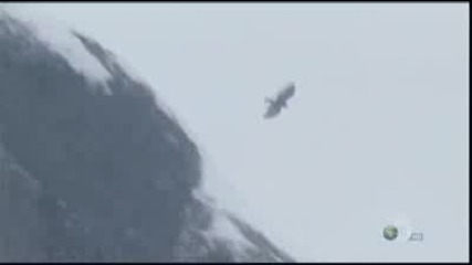 Discovery Channel - човекът срещу дивата природа - част 4