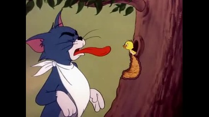 [hq] Tom and Jerry [hq]