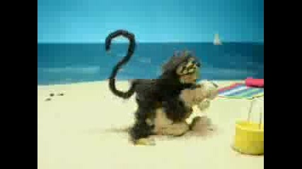 (смях) Диви Маймунки на плажа!