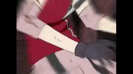Sakura - Fly on the wall 