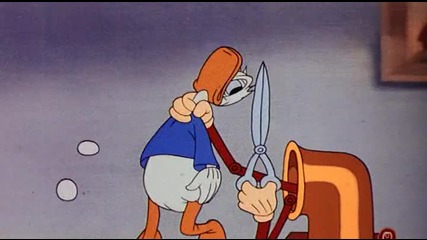 Donald Duck - Cured Duck 
