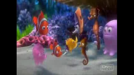 Finding Nemo Funny Finn Comedy Movie Video Cartoon Animation Fish Gang Friends Clip 
