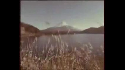 Ani Asenova (1)
