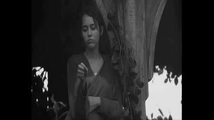 Niley - Before The Storm (music Video) 