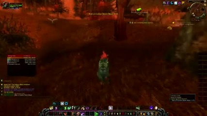 Wow Cataclysm Druid Leveling 40 - 45 