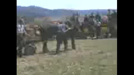 Koн дyнаф.