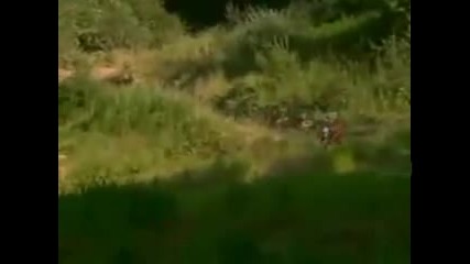 Roam - Downhill Section