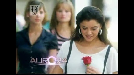 Aurora 43.3