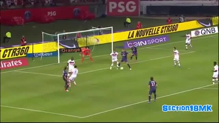 Zlatan Ibrahimovic | Psg | 2012/13