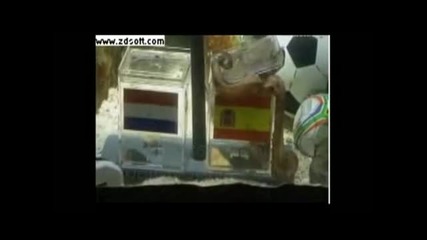 Октоподът Паул предсказва победа за Испания над Холандия на World cup 2010 