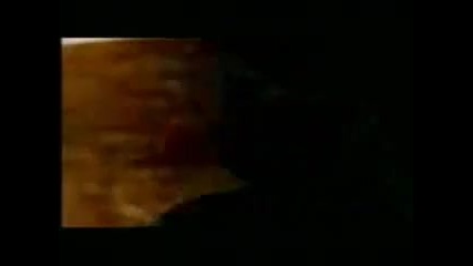 Dmx - the rain
