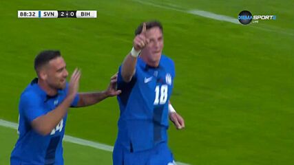 Словения - Босна и Херцеговина 2:1 /репортаж/