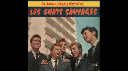 Les Chats Sauvages - John C'est L'amour