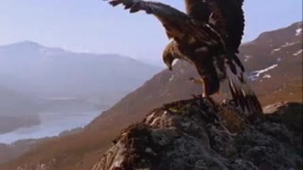 Планетата земя - красота Hd 