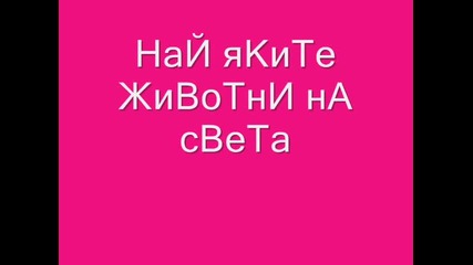Най яките Животни на света