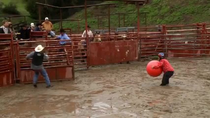 Jackass 3.5 (the Yoga Ball)