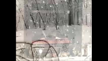 Ajrus Osmanovic 2010...
