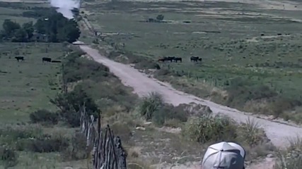 Tоя пич с колко ли караше