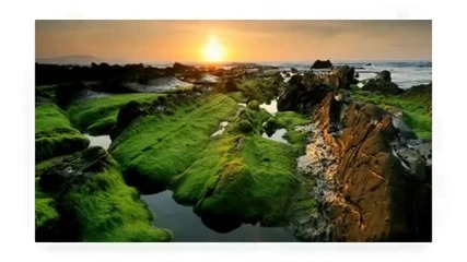 Landscaping Cape Town - Get Free Consultation