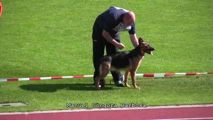 Световно първенство за немски овчарки 2009