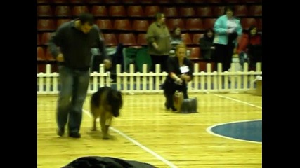 Cacib Sofia 15.01.2011 