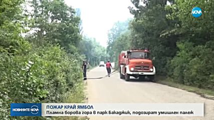 Голям пожар се разгоря в парк „Бакаджика” в Ямбол