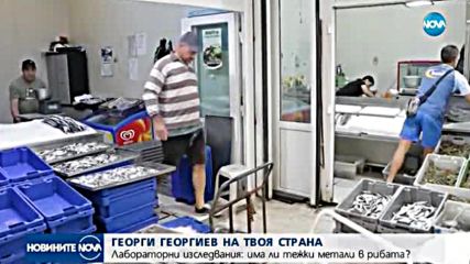 Откриха тежки метали в рибата по магазините