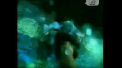 t . A . T . u . - All The Things She Said ( ( Official Music Video ) ) 