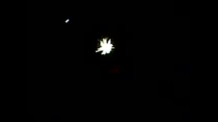 New Year In Pernik