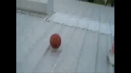- - Dude Perfect - - 