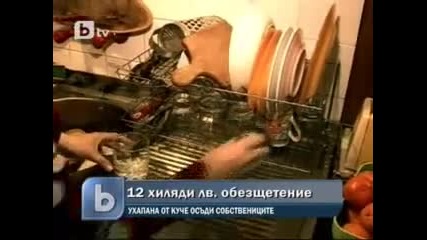12 000 лева обезщетения на пострадала жена, заради ухапване от домашно куче 