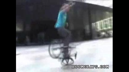 Bmx Freestyle 