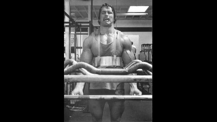 A tribute to living legend Arnold Schwarzenegger