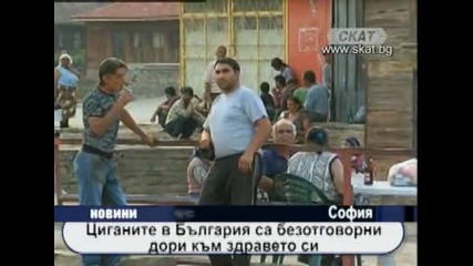 Циганите в България за безотговорни дори към здравето си