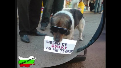 Това може да се види само в България!