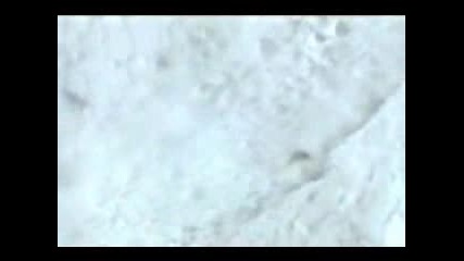 Travis Rice Avalanche