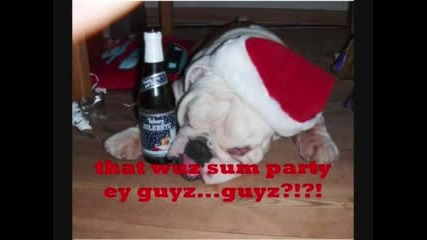 Bad Dogz