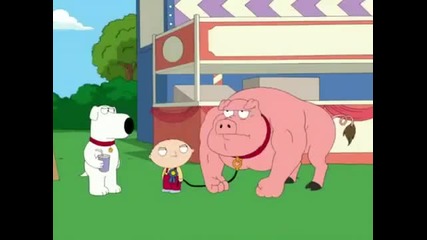 Family Guy-stewie's Pig