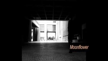 Moonflower feat Bezov - На Карлсон (demo)
