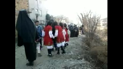 surva kosiak mala 2011