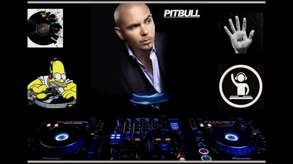 Rosi - Pitbull Mix 2