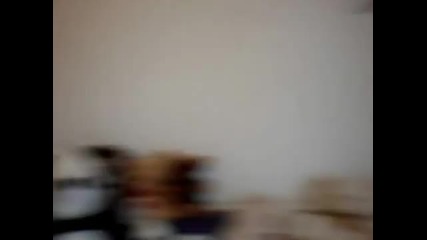 little room tour